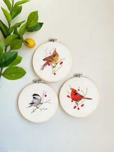 three cross stitch hoop paintings with birds on them