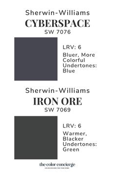 the color scheme for sherylin williams's cyberspace