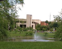 a fire hydrant spewing water into a pond in front of a building