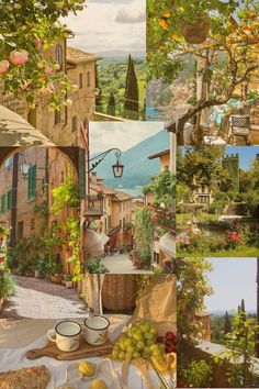 a collage of pictures with fruit and flowers in them, including an old town