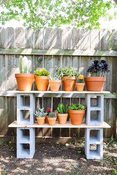 several potted plants are sitting on a shelf in front of a fenced area