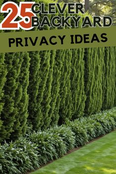 the 25 clever backyard privacy ideas to keep your yard neat and organized for all ages