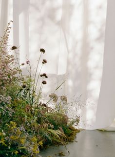 some flowers and plants are in front of a curtain