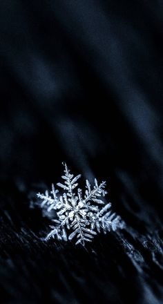 a snowflake is seen in this close up photo taken on the ground at night