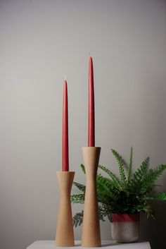 two wooden candlesticks sitting next to a potted plant