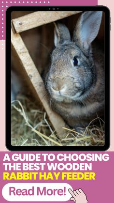 a rabbit is sitting in the hay next to a wooden structure and text reads, a guide to choosing the best wooden rabbit hay feeder read more