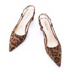 PRICES MAY VARY. To ensure a long-lasting luxurious and comfortable experience, we have combined our soft lambskin leather insole with suede. The unique leopard print design, adding a sense of wildness, style and luxury to the shoe. Adjustable Ankle Strap: Handcrafts women slingback shoes with buckle can adjust the fitting freely as your preference and reducing the worry of grinding your feet Perfect Balance：These slingback pumps are designed with a heel 2.5-inch that strikes the perfect balance Fall Flats 2024, Comfortable Shoes With Dresses, Fall Womens Shoes, Work Pumps, Festival Shoes, Leopard Pumps, Flats For Women, Leopard Print Shoes, Shoes Ideas