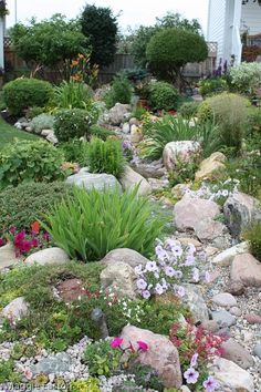 a garden with rocks, flowers and plants in the foreground is a white house