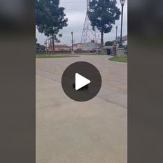 a dog standing on top of a sidewalk next to a street