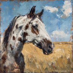 appaloosa- horse-in-field-portrait Grey Horse Painting, Painting Portraits Acrylics, Horse Silhouette Painting, Horse Painting Ideas, Dog Portraits Painting Oil, Acrylic Animal Paintings, Acrylic Horse Painting, Painting Layout, Horse Oil Painting