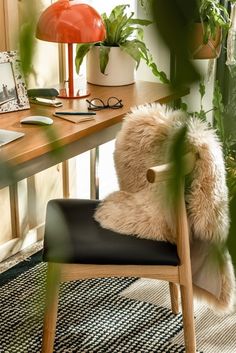 a teddy bear sitting on a chair in front of a desk with plants and pictures