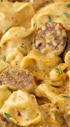 some type of pasta dish with meat and cheese