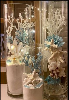 three glass vases filled with different types of seaweed and starfish on top of a table