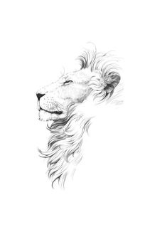 a black and white drawing of a lion's head