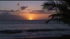 the sun is setting over the ocean with palm trees in foreground and clouds in the background