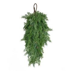 an evergreen branch hanging from a hook