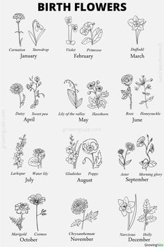 the birth flowers are shown in black and white, as well as an image of each flower