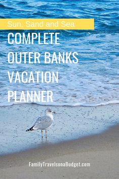 a seagull standing on the beach with text overlay reading, sun, sand and sea complete outer banks vacation planner