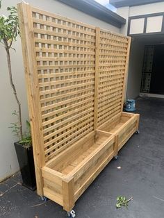 a wooden bench sitting on top of a cement floor next to a tree and building