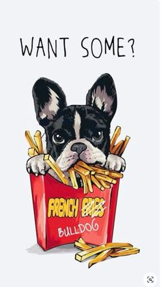 a black and white dog eating french fries from a red box that says, want some?