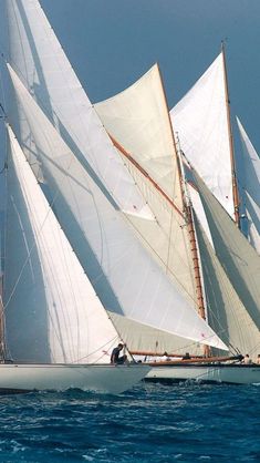 several sailboats in the ocean with sails down and white sails on their backs,