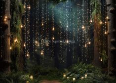 an image of a forest scene with candles and lights hanging from the trees at night