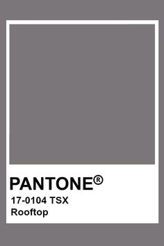 the pantone gray color is shown in this image