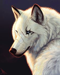 a white wolf with blue eyes stares into the night sky while it's head is tilted to the left