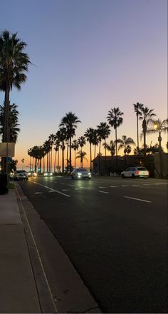 palm trees line the street in front of a parking lot at dusk with cars parked on the side