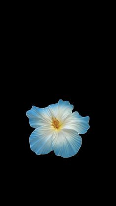 a blue and white flower floating in the air on a black background with space for text