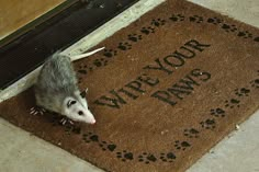 an animal that is standing in front of a door mat with the words wipe your paws on it