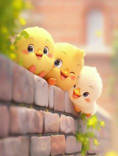 three little chicks are sitting on top of a brick wall