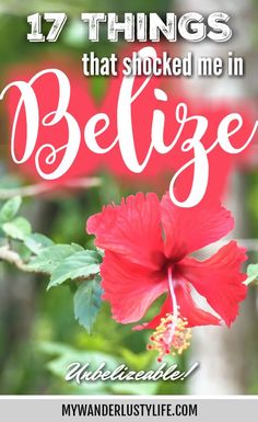 a red flower with the words 17 things that shocked me in belize