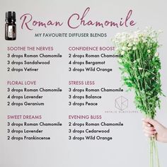 Roman Chamomile Essential Oil Blends, Essential Oil Recipes Chamomile, Chamomile Oil Blends, Roman Chamomile Doterra, Chamomile Essential Oil Blends, Roman Chamomile Diffuser Blends, Chamomile Diffuser Blends, Doterra Roman Chamomile