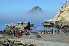 a group of people standing on top of a sandy beach next to the ocean under a foggy sky