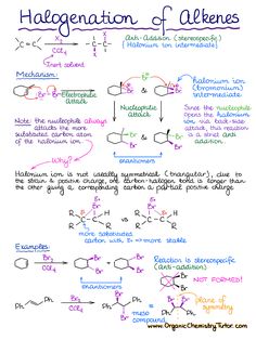 a handwritten diagram with the names and symbols for different types of hydrogens on it