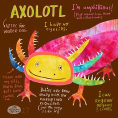 a poster with an axolot on it's back and other words below