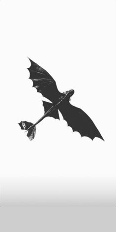 a black and white photo of a flying bat