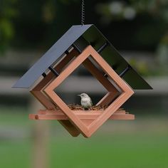 a bird sitting on top of a wooden bird feeder