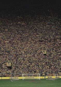 a soccer stadium full of fans and players