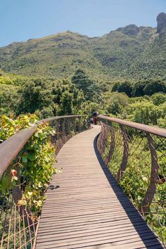 a wooden walkway leading to the top of a mountain