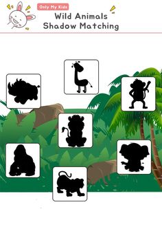 an animal shadow matching game for kids