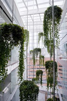 an indoor atrium with plants growing on the walls and windows in front of it, surrounded by tall buildings