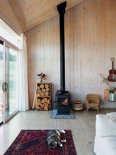 a dog laying on the floor in front of a wood burning stove