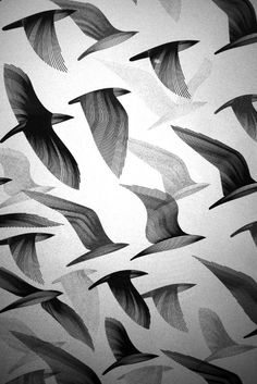 black and white photograph of birds flying in the sky