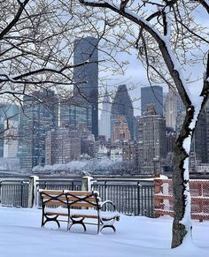 a park bench covered in snow with the city skyline in the backgrounnd