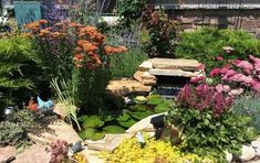 a garden filled with lots of different types of flowers