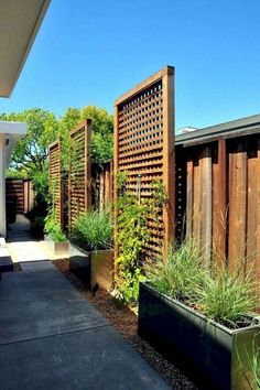 an outdoor garden area with wooden fence and plants in large planters on either side