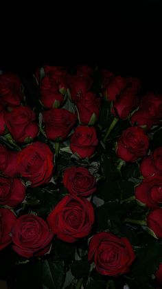 a bunch of red roses sitting on top of a black tablecloth covered floor in the dark