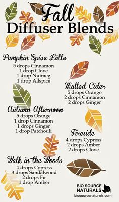 Herfstgeuren in huis 🍁🍂🍁🍂🍁🍂 Lilin Aroma, Săpunuri Handmade, Diffuser Recipes